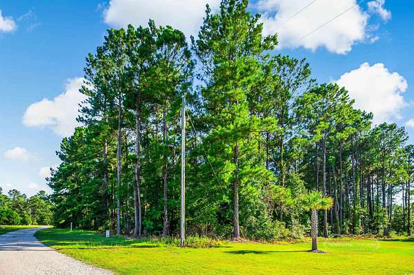 1.3 Acres of Residential Land for Sale in Galivants Ferry, South Carolina