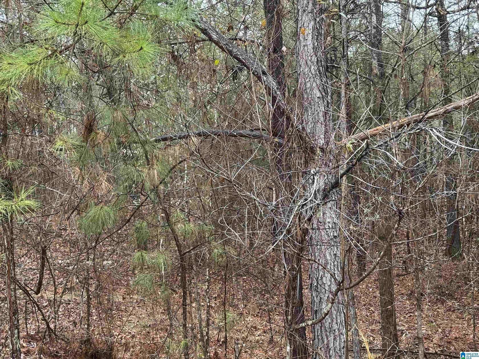 0.73 Acres of Residential Land for Sale in Vincent, Alabama