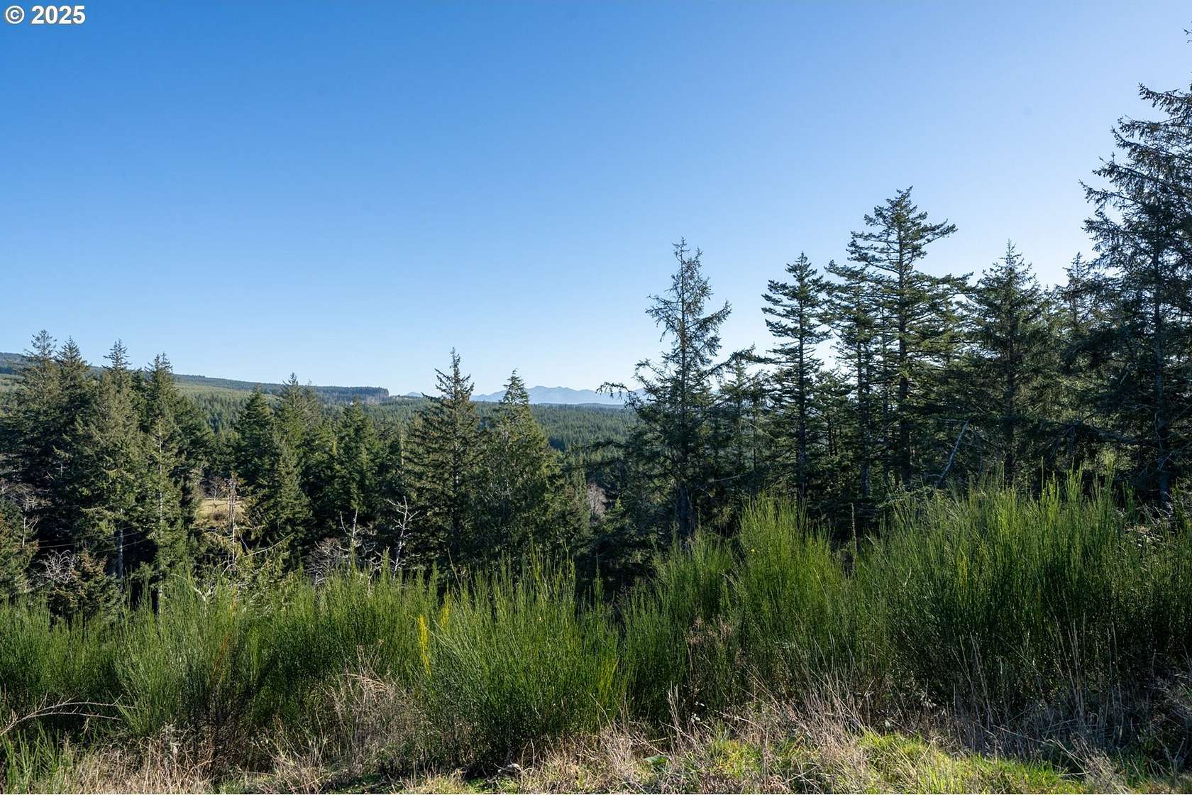 0.52 Acres of Land for Sale in Oceanside, Oregon