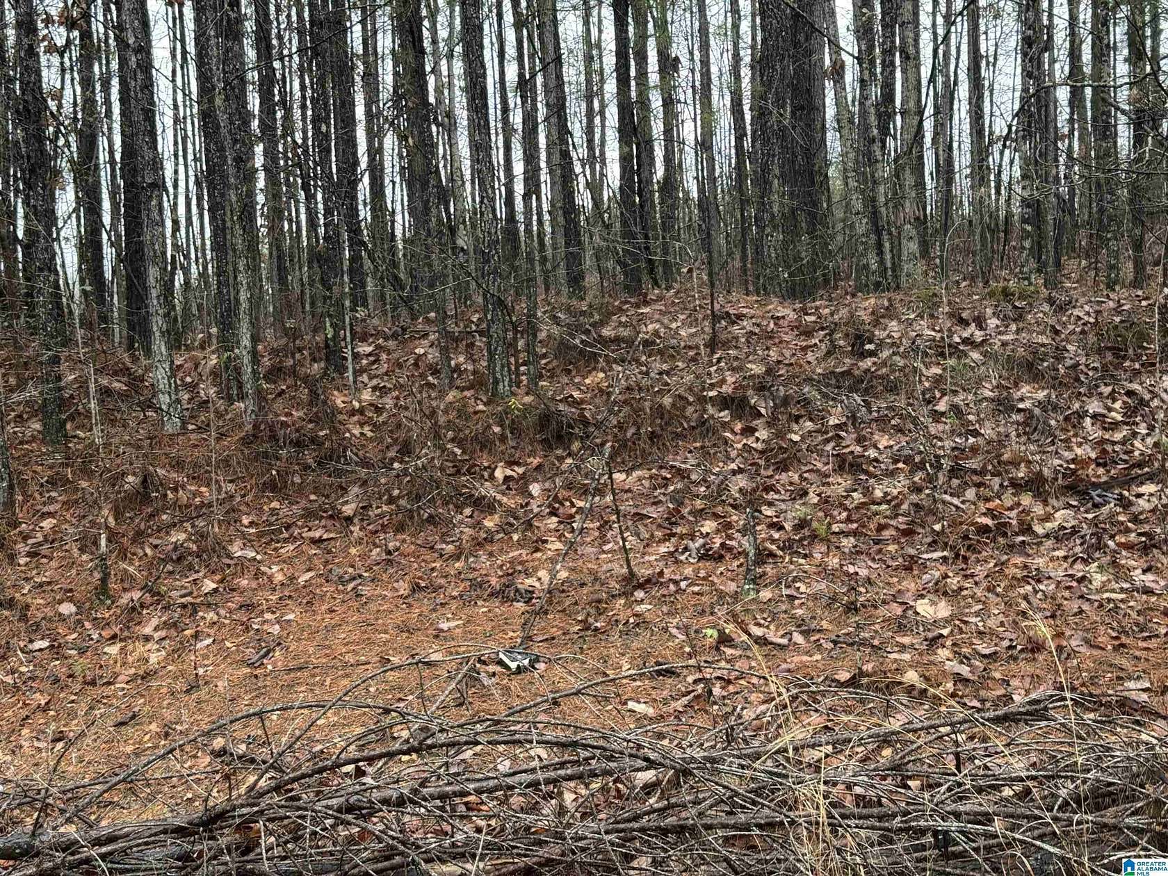 0.66 Acres of Residential Land for Sale in Vincent, Alabama