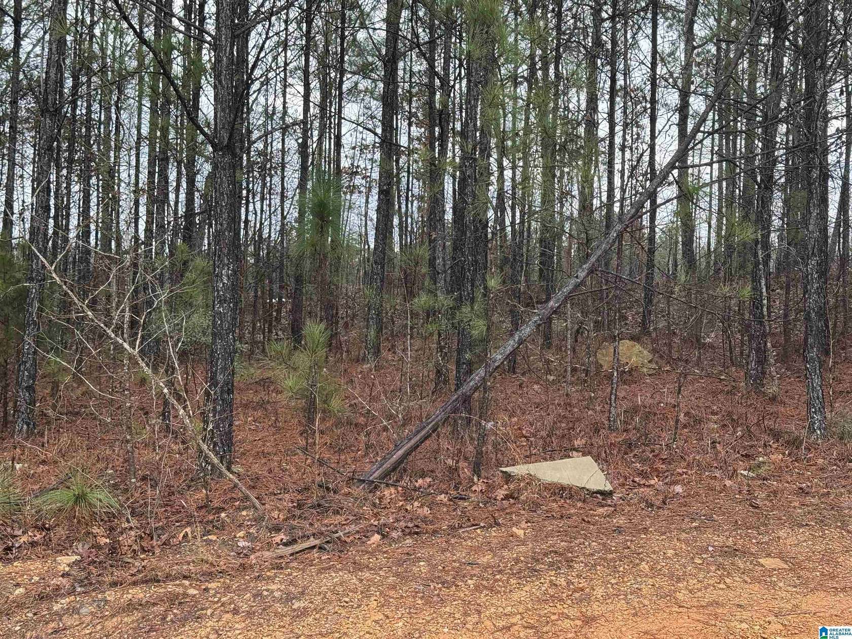0.49 Acres of Residential Land for Sale in Vincent, Alabama