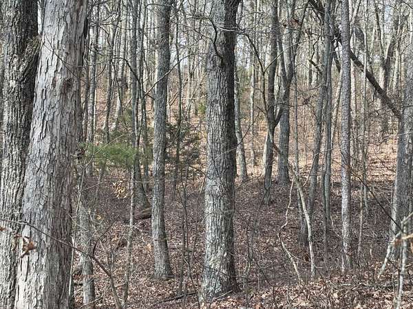 2.5 Acres of Residential Land for Sale in Ringgold, Georgia
