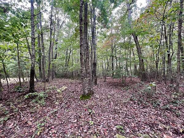 20 Acres of Recreational Land for Sale in Sandy Level, Virginia