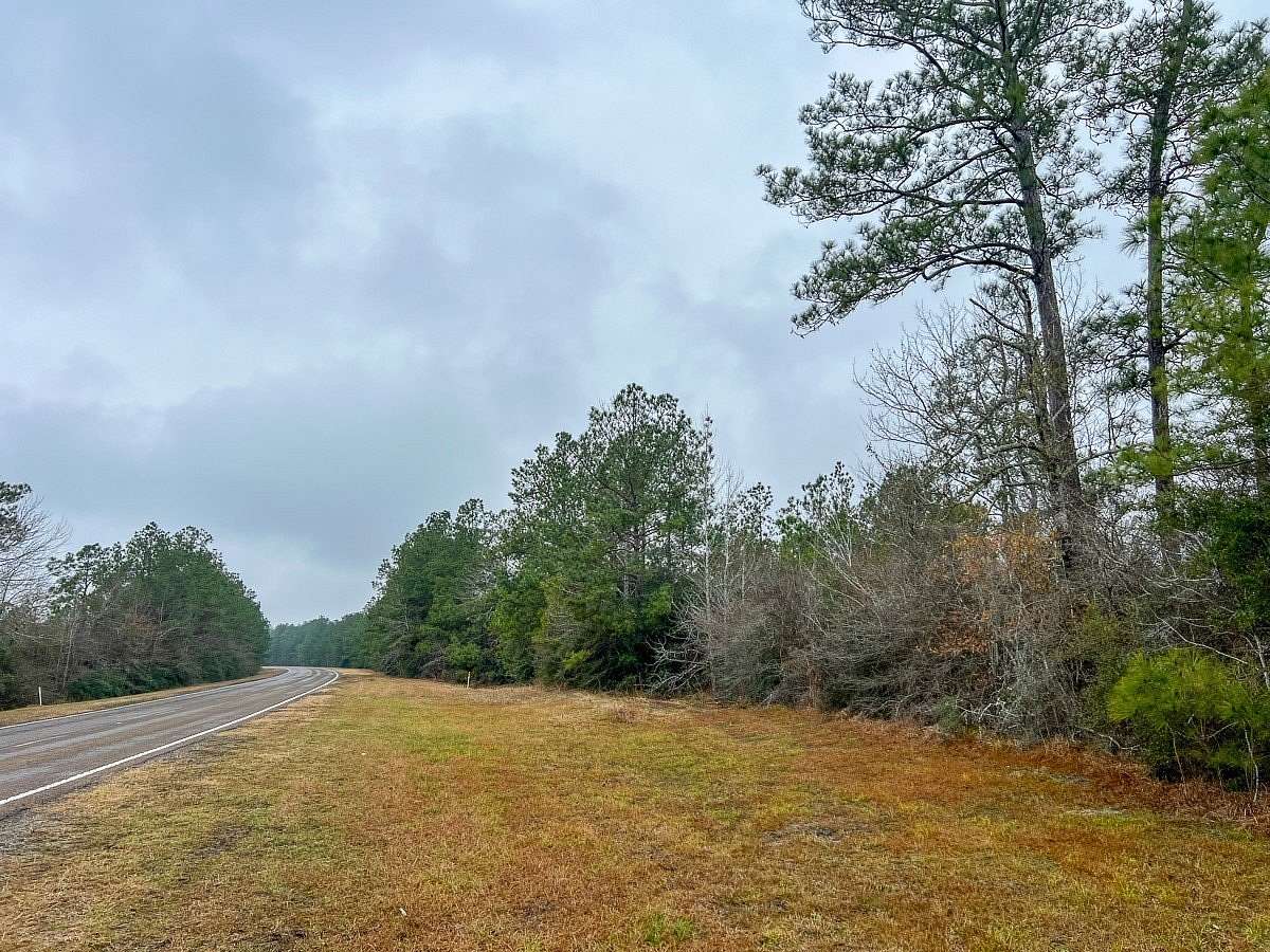 12 Acres of Land for Sale in Colmesneil, Texas