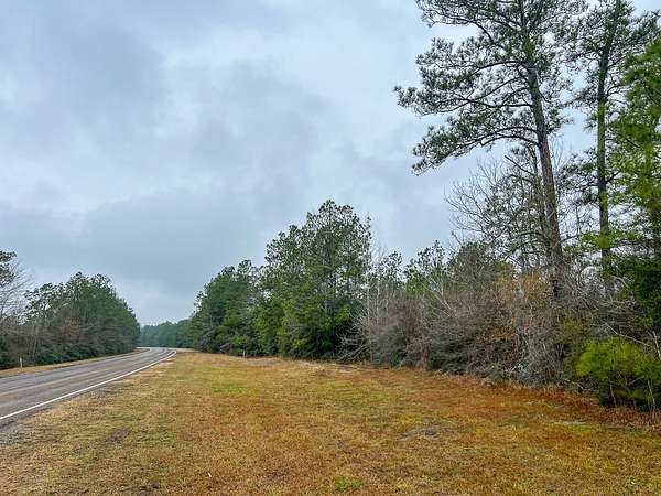 18 Acres of Land for Sale in Colmesneil, Texas