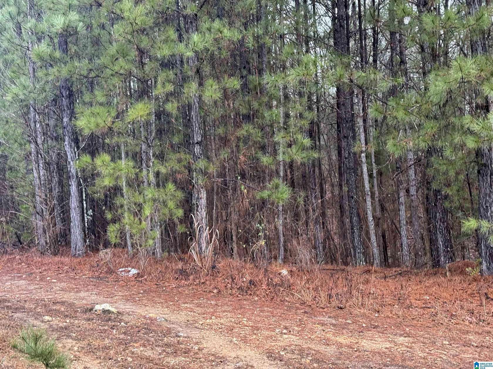 1 Acre of Residential Land for Sale in Vincent, Alabama