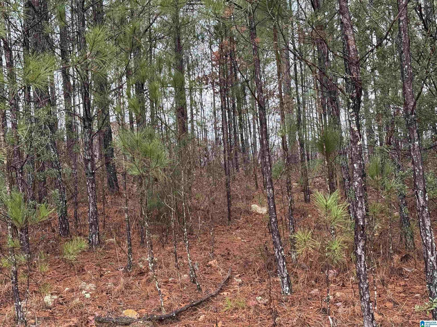 0.52 Acres of Residential Land for Sale in Vincent, Alabama