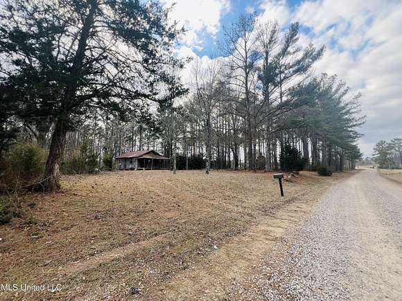 10.2 Acres of Recreational Land for Sale in Lena, Mississippi