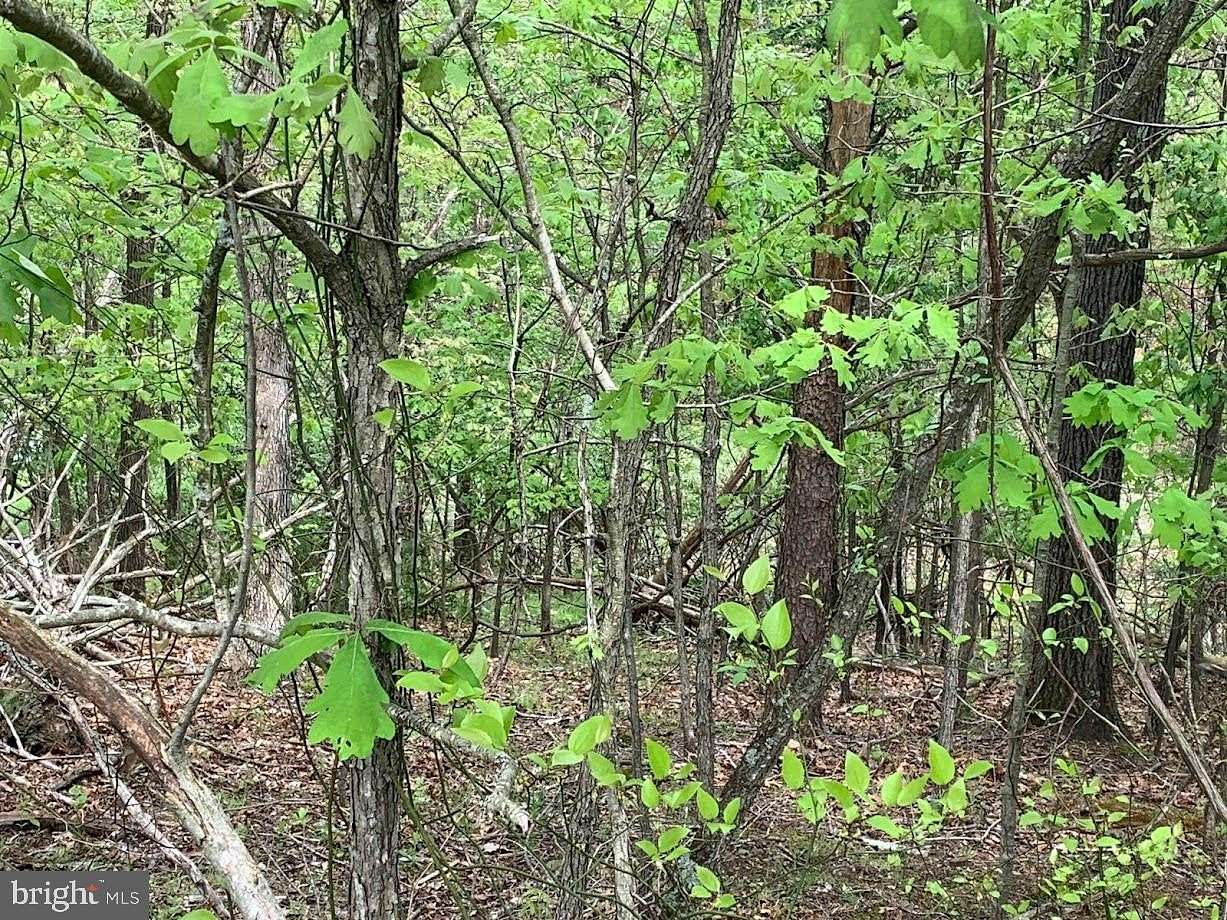 Residential Land for Sale in Cross Junction, Virginia