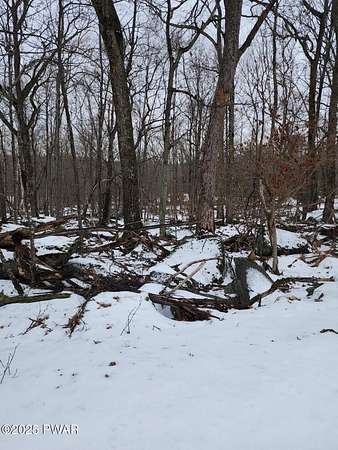 0.49 Acres of Mixed-Use Land for Sale in Tafton, Pennsylvania