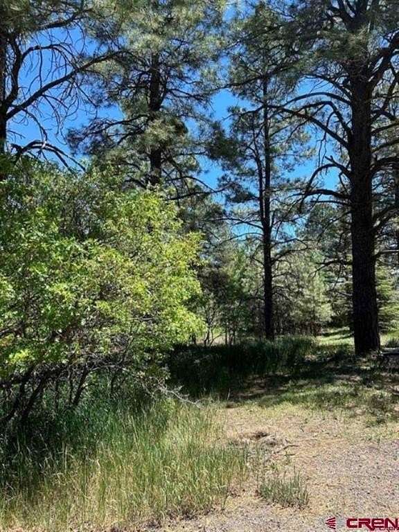 0.28 Acres of Residential Land for Sale in Pagosa Springs, Colorado