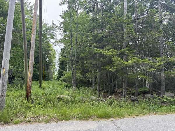 4.8 Acres of Residential Land for Sale in Trenton, Maine