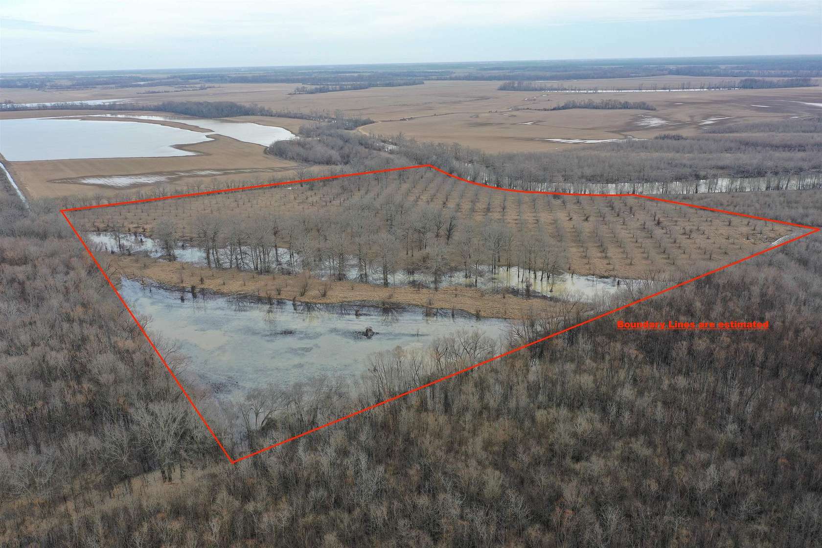 40 Acres of Recreational Land & Farm for Sale in Bradford, Arkansas