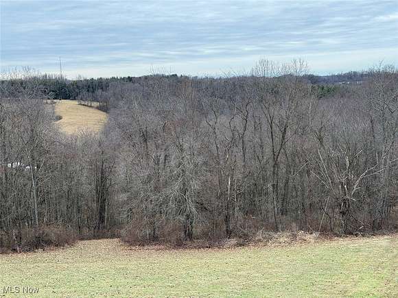 12.6 Acres of Land with Home for Sale in Scio, Ohio