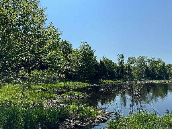 12 Acres of Recreational Land for Sale in Lewis Town, New York