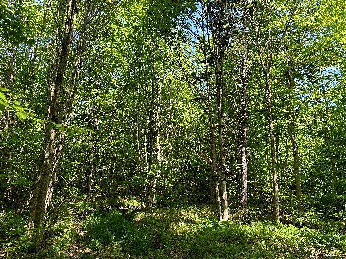 12.2 Acres of Recreational Land for Sale in Lewis Town, New York