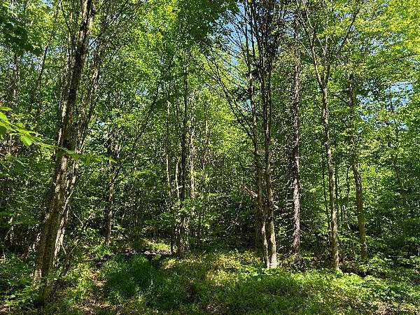 12.2 Acres of Recreational Land for Sale in Lewis Town, New York