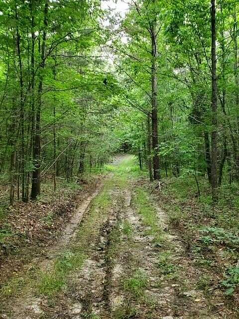 52.2 Acres of Recreational Land for Sale in Pontotoc, Mississippi