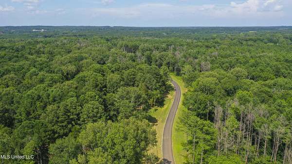 13.7 Acres of Land for Sale in Flora, Mississippi