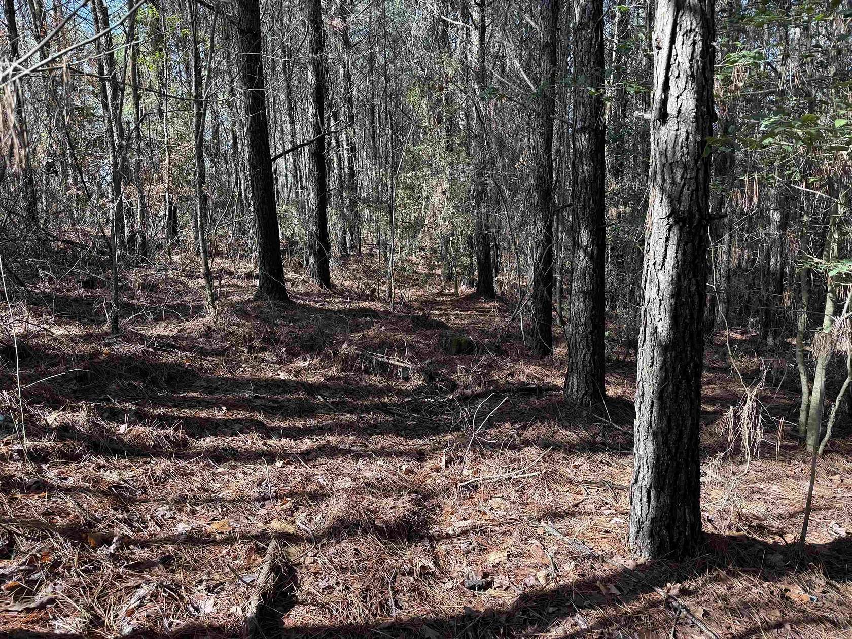 2 Acres of Land for Sale in Wickes, Arkansas