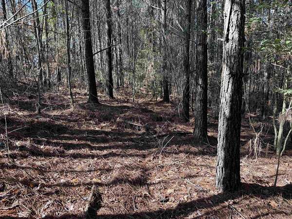 2 Acres of Land for Sale in Wickes, Arkansas