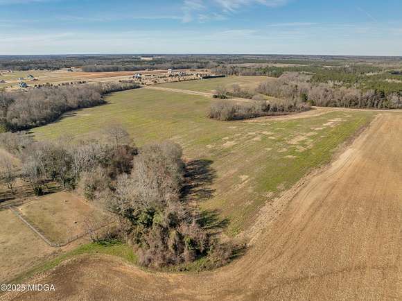 55.7 Acres of Recreational Land & Farm for Sale in Elko, Georgia