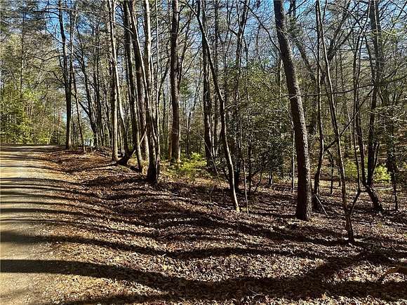 2 Acres of Land for Sale in Blue Ridge, Georgia