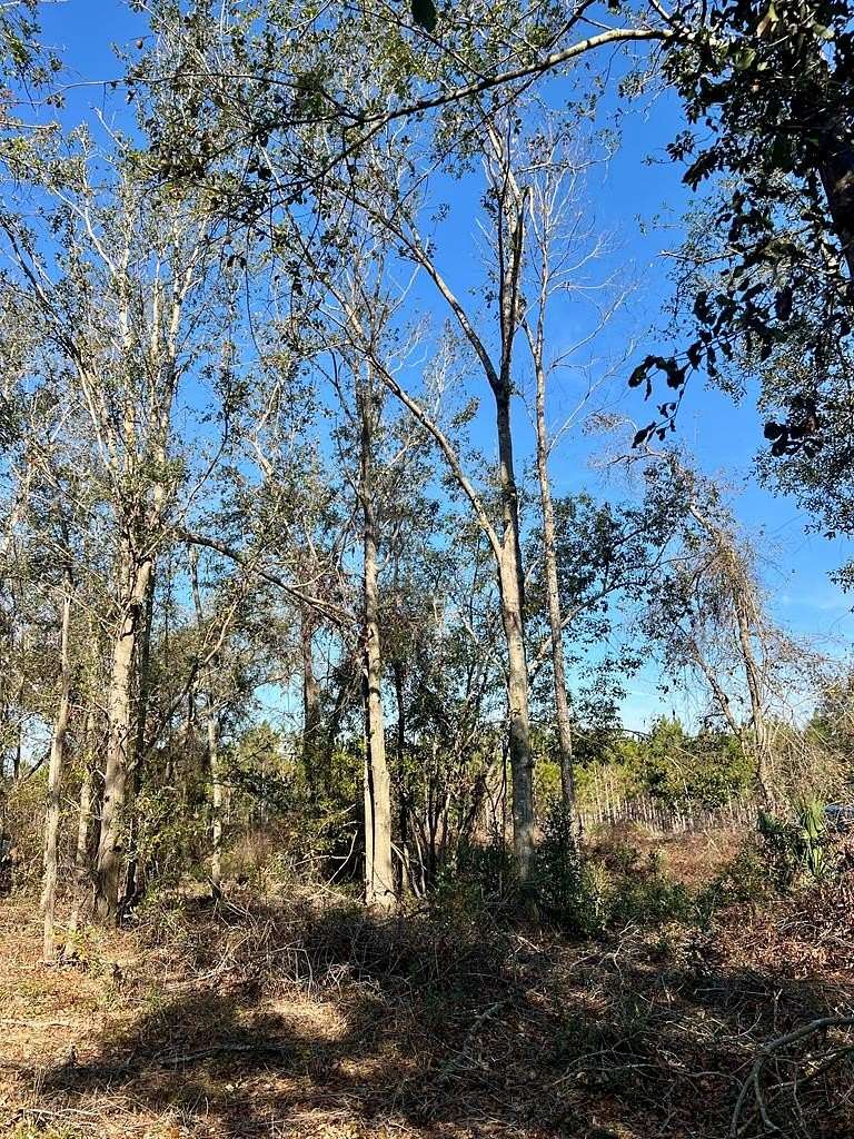 4.46 Acres of Residential Land for Sale in Mayo, Florida
