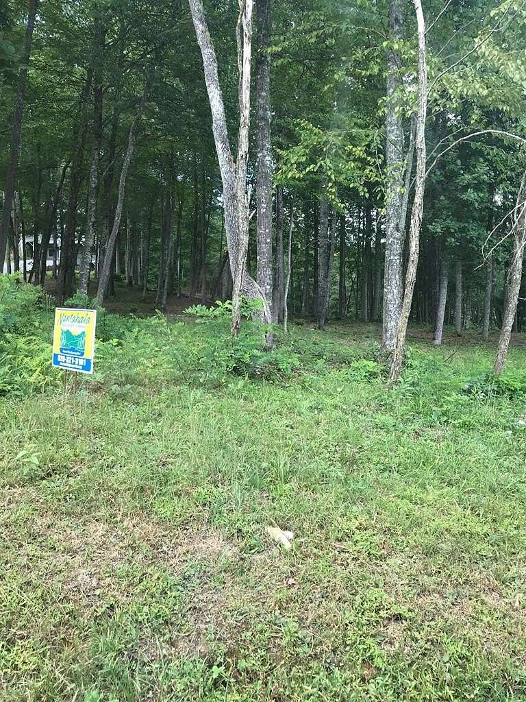 Residential Land for Sale in Topton, North Carolina