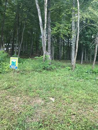 Residential Land for Sale in Topton, North Carolina
