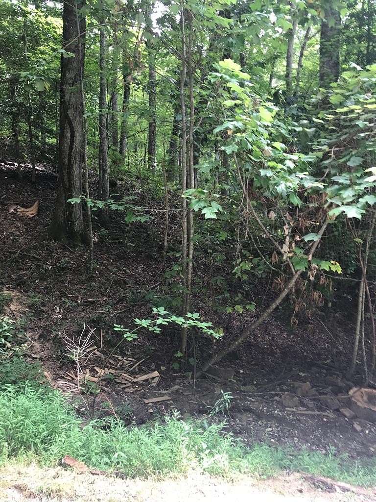 Land for Sale in Topton, North Carolina