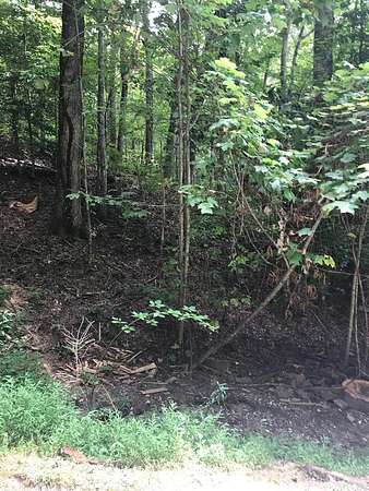 Land for Sale in Topton, North Carolina