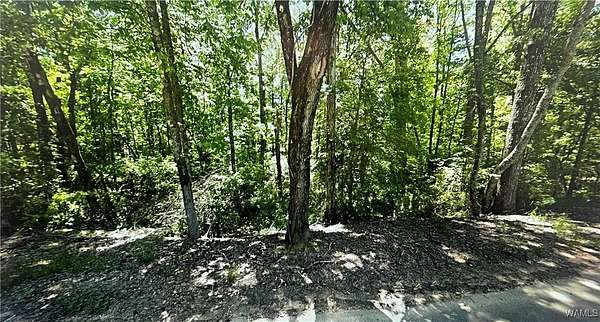 0.47 Acres of Residential Land for Sale in Lake View, Alabama