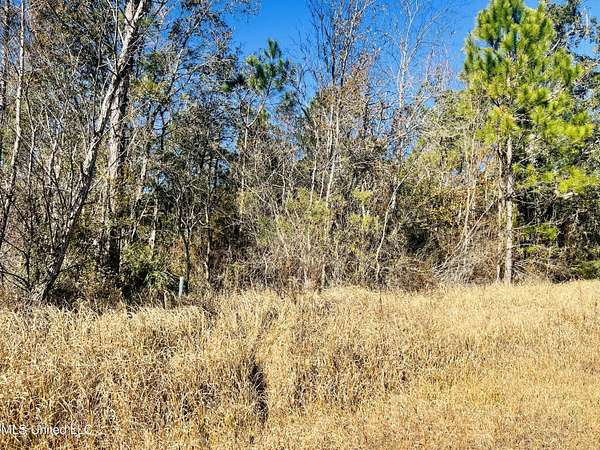 0.09 Acres of Residential Land for Sale in Bay St. Louis, Mississippi