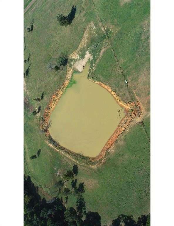 24.8 Acres of Land for Sale in Tennessee Colony, Texas