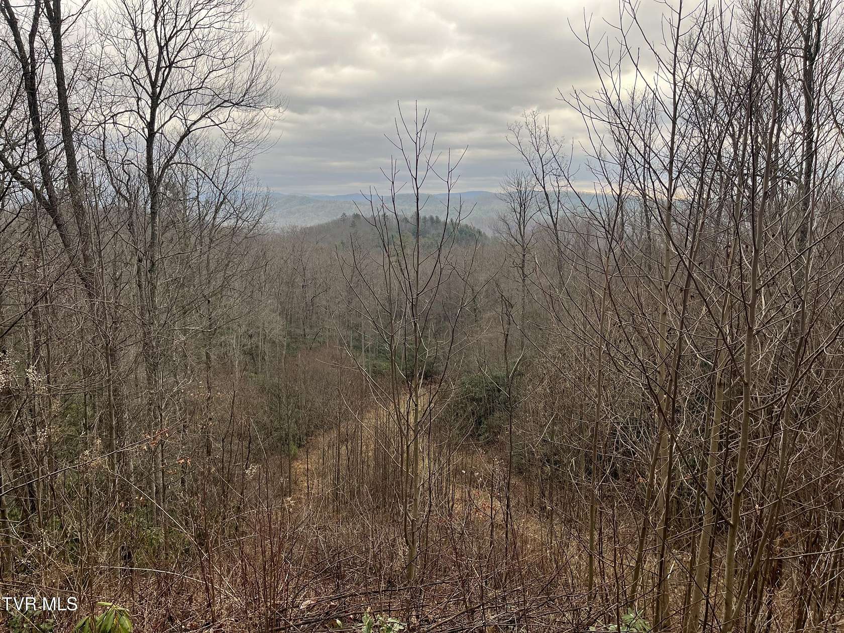 15.5 Acres of Recreational Land for Sale in Butler, Tennessee