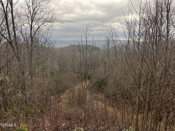 15.5 Acres of Recreational Land for Sale in Butler, Tennessee