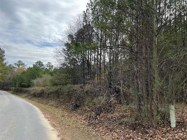 25.6 Acres of Land for Sale in Taylorsville, Georgia