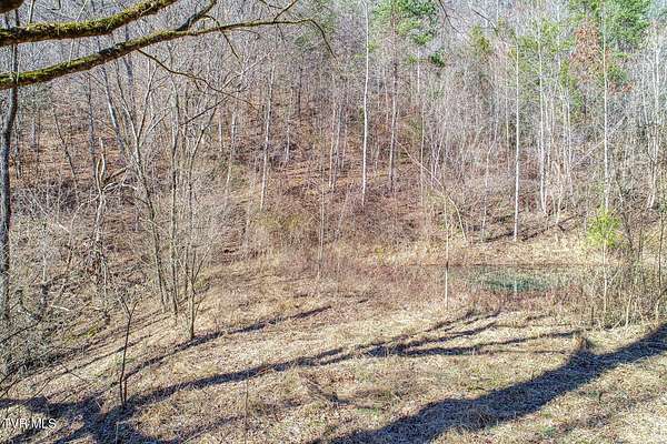 42.6 Acres of Recreational Land for Sale in Sneedville, Tennessee