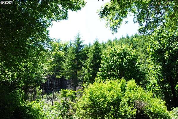 30.9 Acres of Land for Sale in Monmouth, Oregon