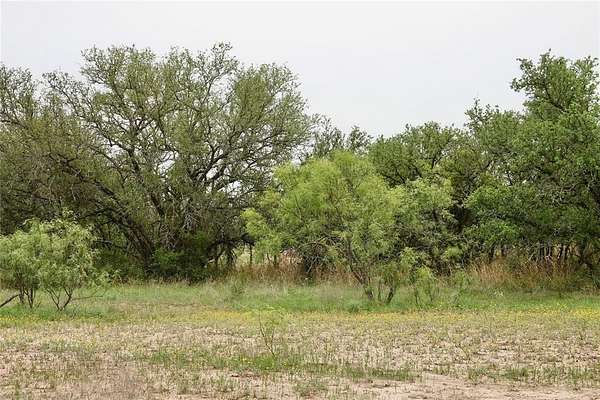 249 Acres of Land for Sale in Mullin, Texas