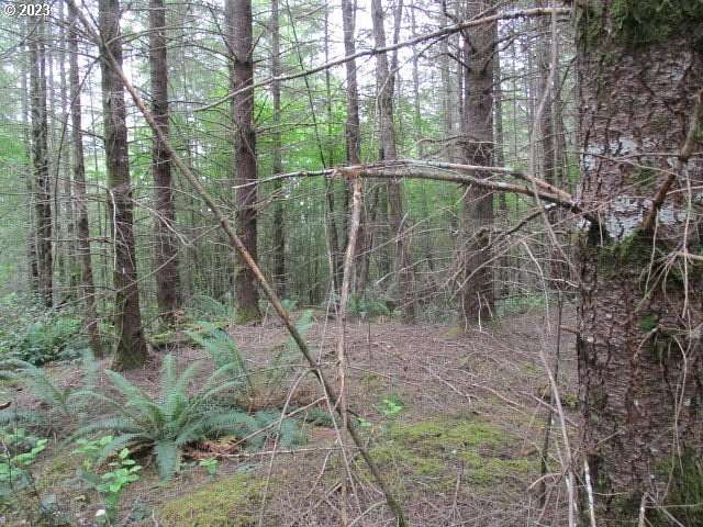 101 Acres of Land for Sale in Estacada, Oregon