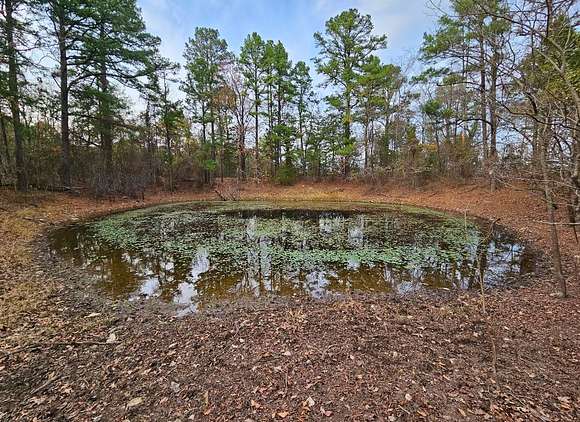 25 Acres of Recreational Land & Farm for Sale in Bengal, Oklahoma