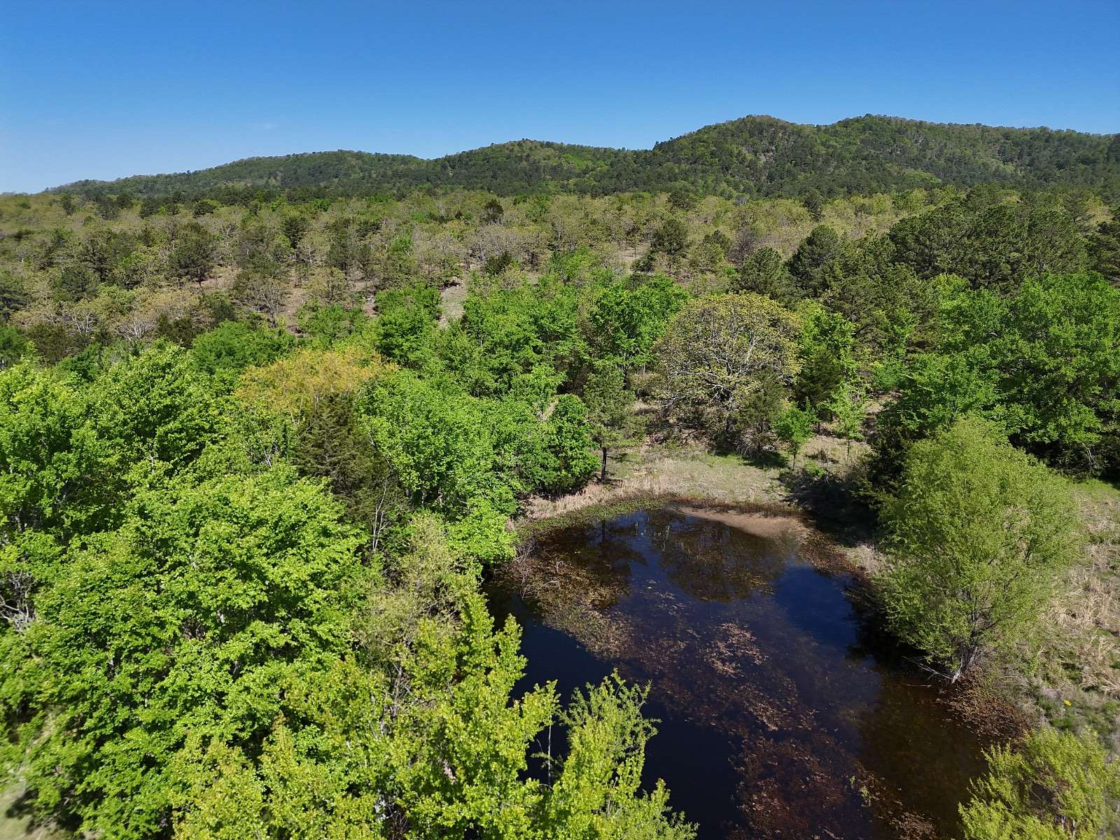 9.2 Acres of Residential Land for Sale in Tuskahoma, Oklahoma