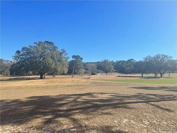 0.34 Acres of Residential Land for Sale in Citrus Springs, Florida