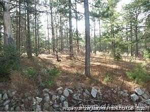 0.52 Acres of Residential Land for Sale in Fayetteville, North Carolina