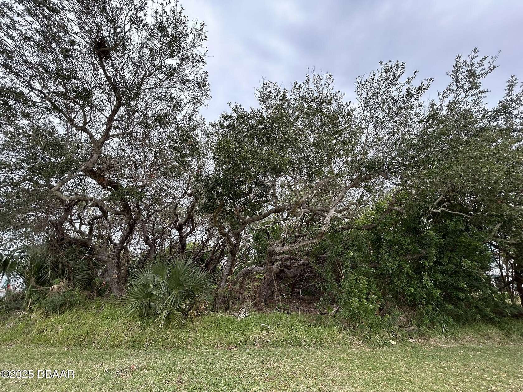 0.17 Acres of Residential Land for Sale in New Smyrna Beach, Florida