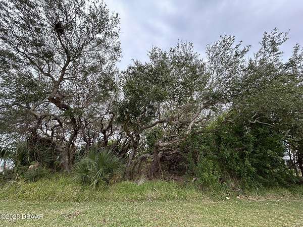 0.17 Acres of Residential Land for Sale in New Smyrna Beach, Florida