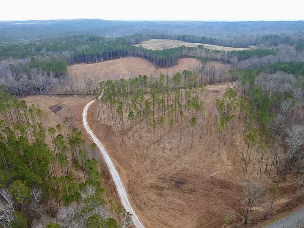 38 Acres of Recreational Land & Farm for Sale in Cragford, Alabama