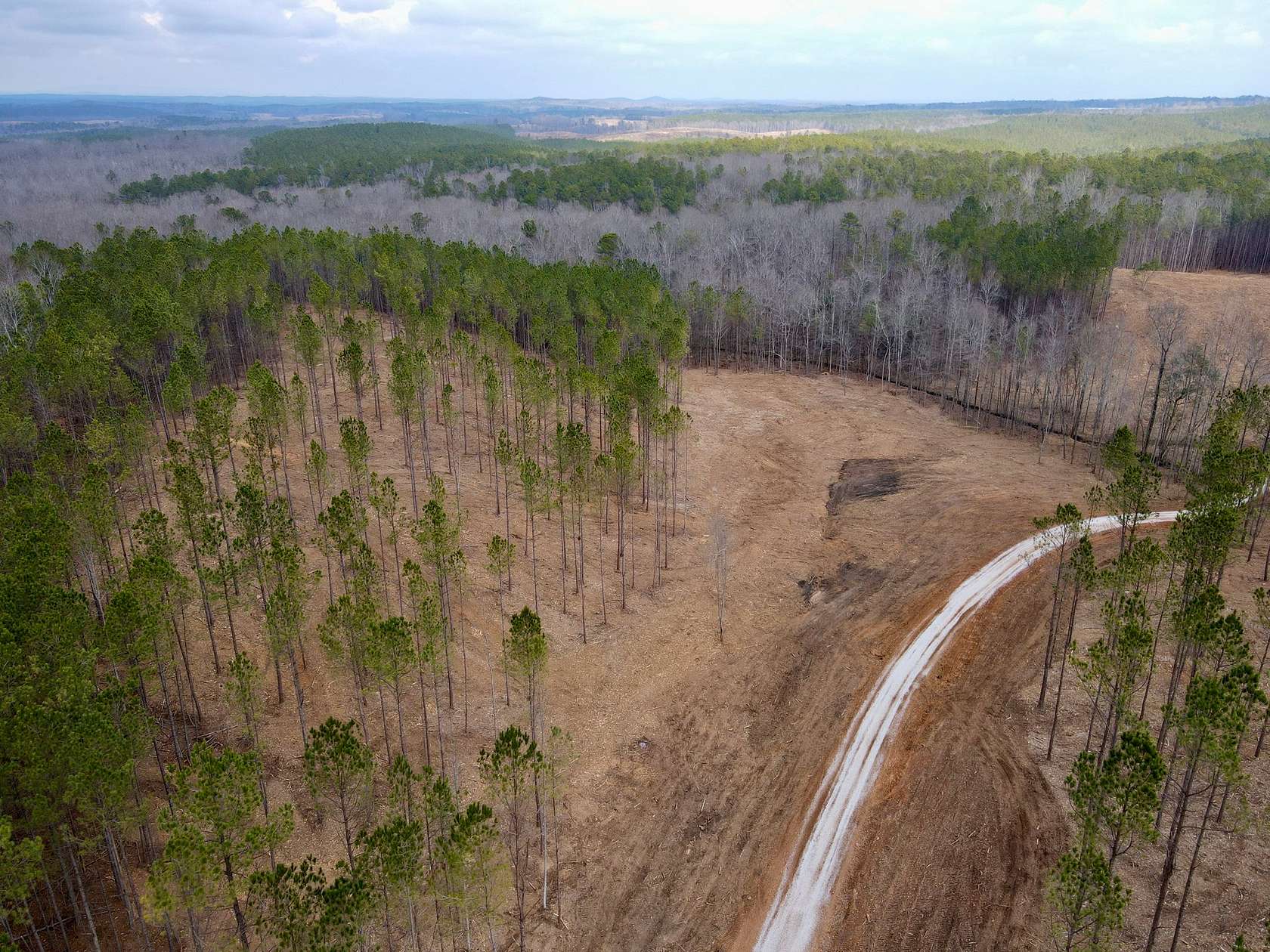 21 Acres of Recreational Land & Farm for Sale in Cragford, Alabama